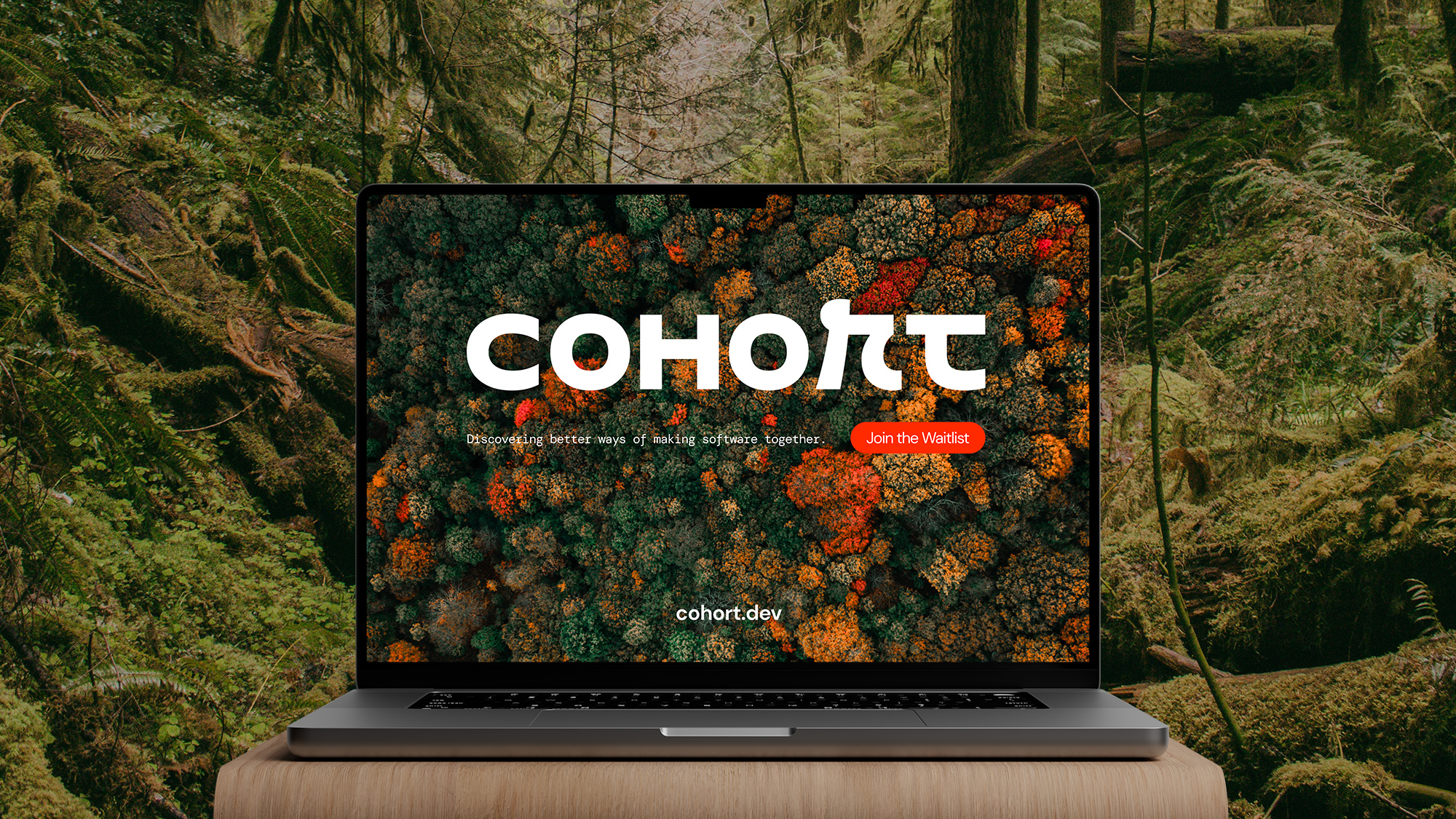 Warm Brand Design Studio | Cohort website